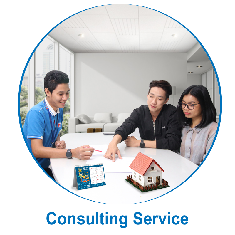 Consulting Service