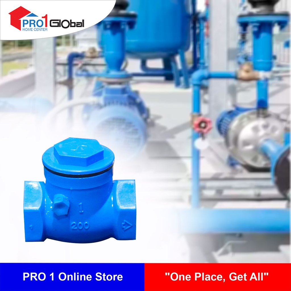 [2000000090528] NNN PVC Check Valve 1in