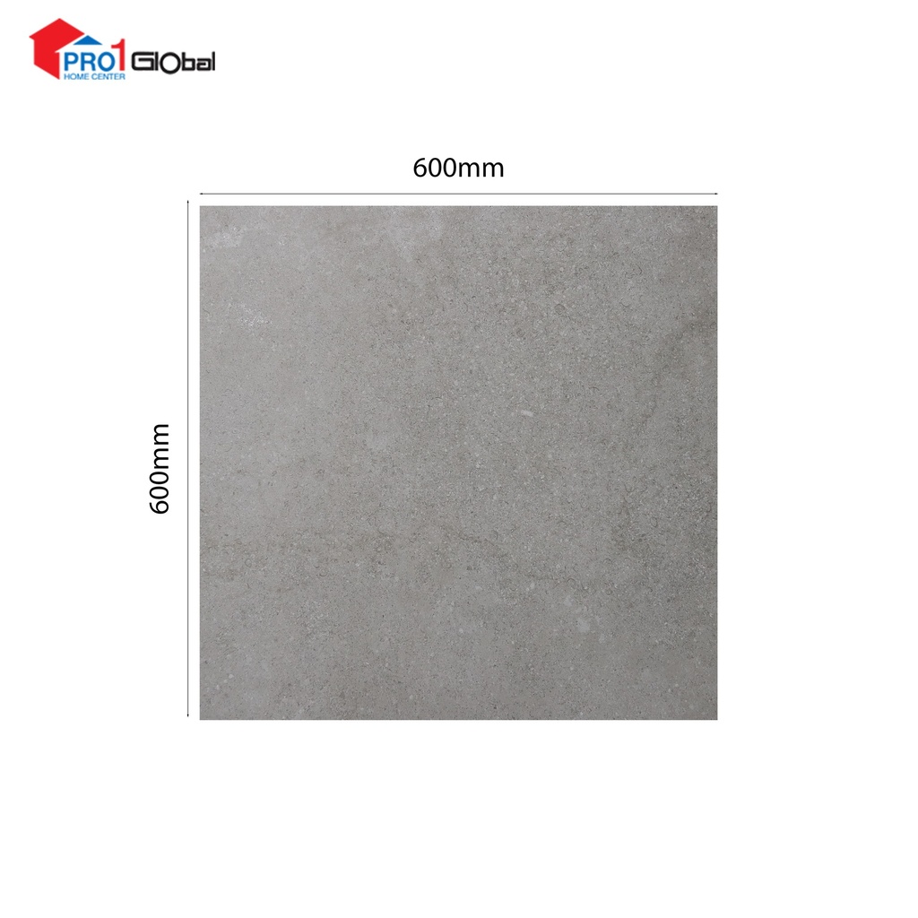 [2000000691503] MARCOPOLO Glazed Porcelain ZF6260R10 (600X600)mm