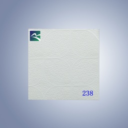 Wall & Ceiling Fixture