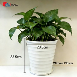 Flower Pot & Planters