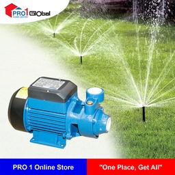 Peripheral Pump