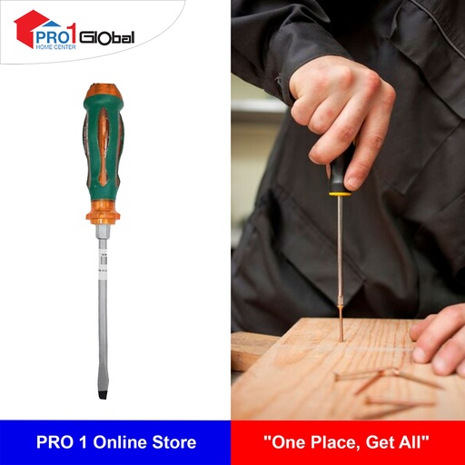 BL Screwdriver 6in(-)