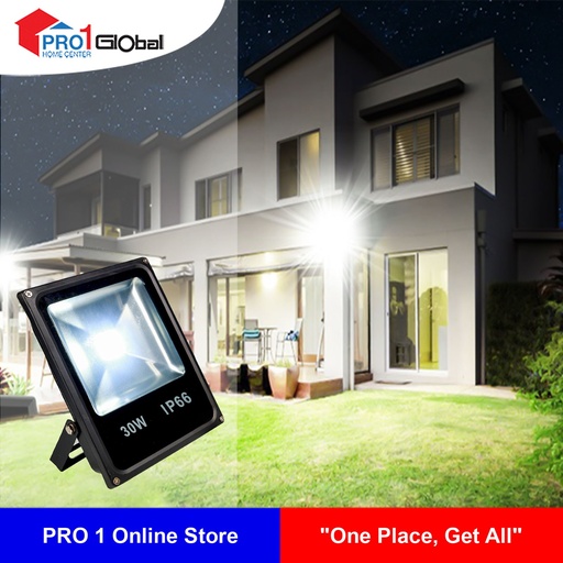 LED Flood Light 30W Pure White (Mini)
