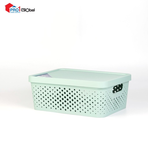 HIEP THANH Medium Storage Container with Cover No-645 (359x268x138)mm