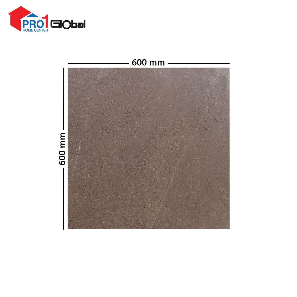 Marcopolo Glazed Porcelain ZC6706R10 Royal Stone (600X600)mm