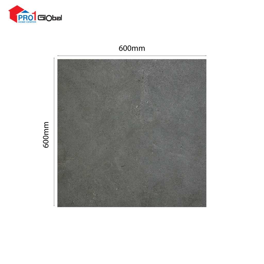 MARCOPOLO Glazed Porcelain ZS6939R10 (600X600)mm