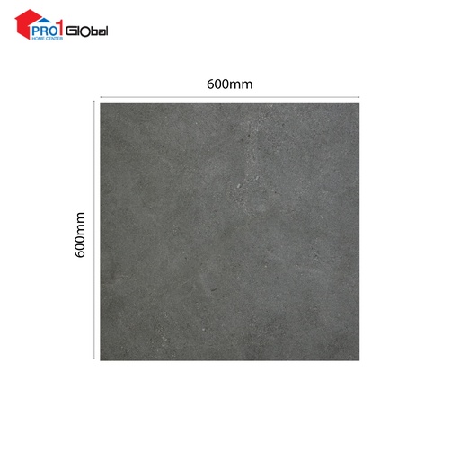 MARCOPOLO Glazed Porcelain ZS6939R10 (600X600)mm